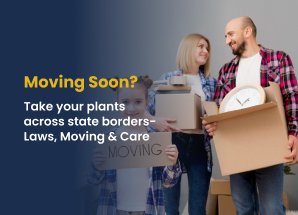 Moving Soon,Take care of your plant